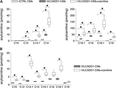 Electrophysiological Abnormalities in VLCAD Deficient hiPSC-Cardiomyocytes Do not Improve with Carnitine Supplementation